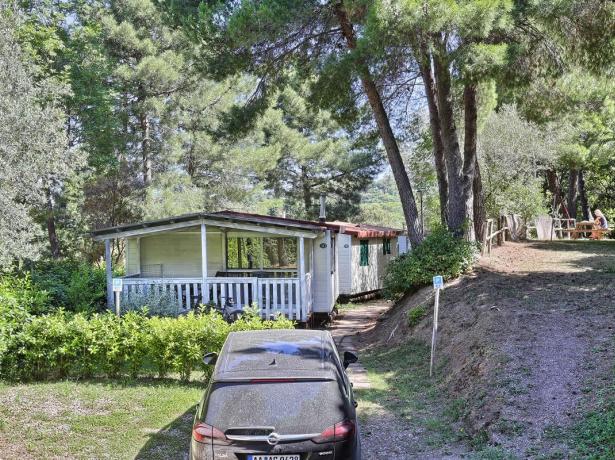 campinglepianacce en special-offer-for-end-of-july-mobile-home-in-tuscany-camping 017